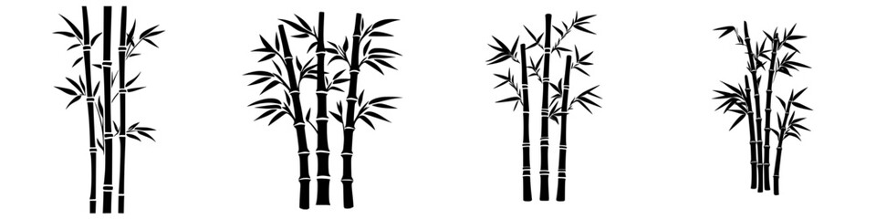 Elegant black and white bamboo illustrations showcase distinctive patterns and shapes in a minimalist style