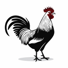 Black and white Rooster Standing Image Vector Illustration isolated on white background.