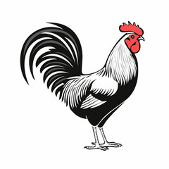 Black and white Rooster Standing Image Vector Illustration isolated on white background.