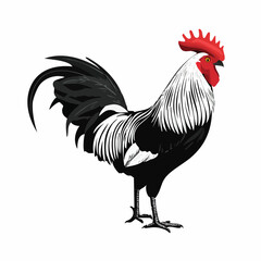 Rooster Standing Image Vector Illustration isolated on white background.