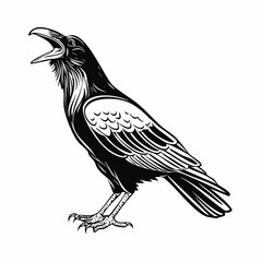 Raven Stands Open Beak Croaks Vector Illustration isolated on white background.