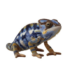 Fototapeta premium Colorful Blue and Yellow Lizard on White Background, Exquisite Details and Textures of Skin Patterns