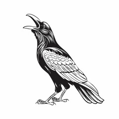 Raven Stands Open Beak Croaks Vector Illustration isolated on white background.