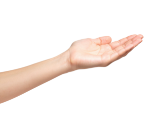 Open female hand palm up in receiving gesture isolated on transparent background
