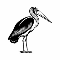 Marabou stork bird image vector Illustration on white background.