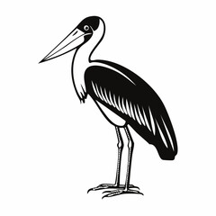 Marabou stork image vector. Natural Marabou Stork Stock Illustration on white background.