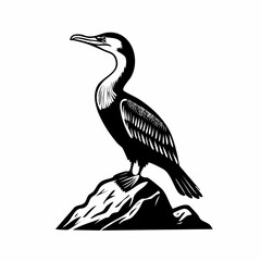 Cormorant On A Rock Images Vector Isolated on white background.