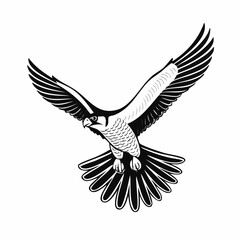 Fototapeta premium Falcon Flying Vector Image. Peregrine Falcon Bird Flying Vector Illustration.