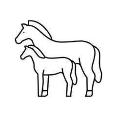 foal horse breeding line icon vector illustration