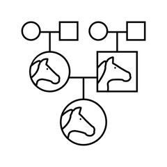 pedigree chart horse breeding line icon vector illustration