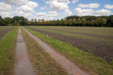Gravel road leading through cultivated fields under cloudy sky