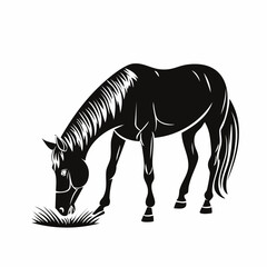 Horse Eating Grass image vector. Horse Eating Grass Stock Illustration on white background.