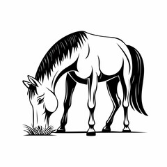 Horse Eating Grass image vector. Horse Eating Grass Stock Illustration on white background.