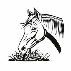 Horse Eating Grass image vector. Horse Eating Grass Stock Illustration on white background.