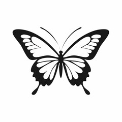 Black and white Butterfly Flying image vector isolated on white background.