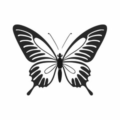 Black and white Butterfly Flying image vector isolated on white background.