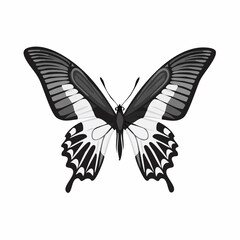 Black and white Butterfly Flying image vector isolated on white background.