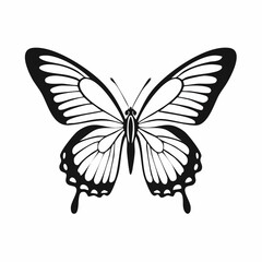 Black and white Butterfly Flying image vector isolated on white background.