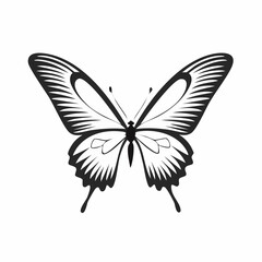 Black and white Butterfly Flying image vector isolated on white background.