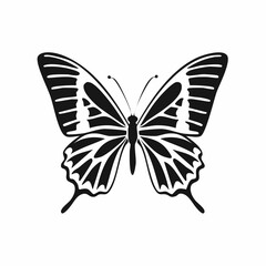 Black and white Butterfly Flying image vector isolated on white background.