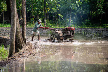 A farmer is using a hand tractor in a muddy rice field.