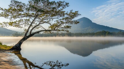 Peaceful morning at Bang Wad Reservoir with mist over still water and mountain backdrop, perfect for nature lovers