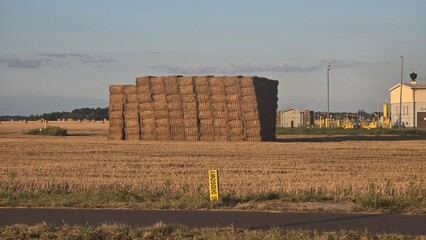 kostki siana na polu przygotowane do transportu © Miroslaw