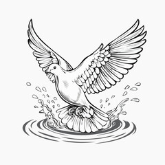 Fototapeta premium Dove Water Stock Illustrations image vector on white background.