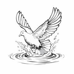 Dove Water Stock Illustrations  image vector on white background.