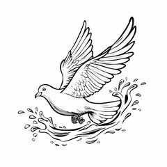 Dove Water Stock Illustrations  image vector on white background.