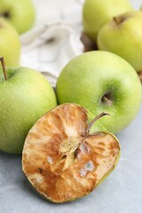 Spoiled apple and good ones on grey table, closeup