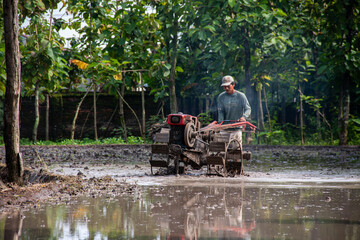 A farmer is using a hand tractor in a muddy rice field.