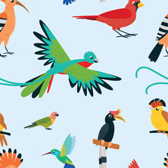Obraz premium Exotic birds seamless pattern. Bright bird sitting on stick and fly. Vibrant hummingbird, parrot, cardinal bird. Cartoon print for fabric, vector background
