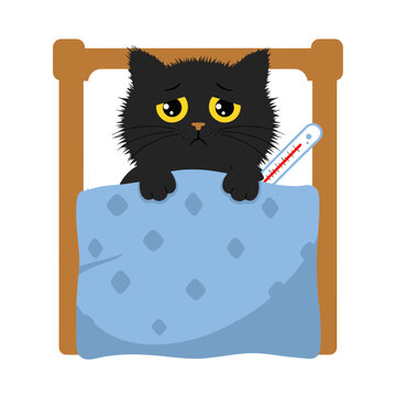 Flat icon of fluffy black cat lying in bed with a thermometer and blanket, isolated