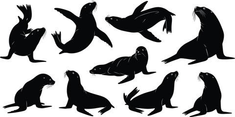 Obraz premium A collection of black silhouette vector illustrations of wild flying birds