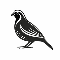 Quail Bird image vector. Black And White Illustration Quail Bird image Isolated On Background
