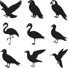 Black Silhouette Icons Of Various Birds On White Background falcon hawk
