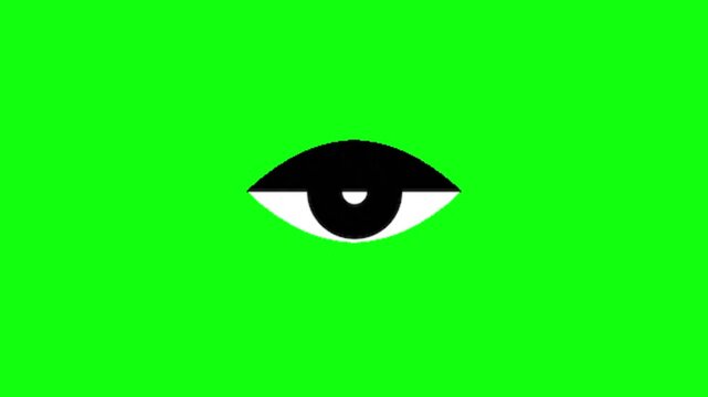 Eye vector