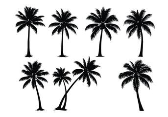 Collection of black palm tree silhouettes against a white background