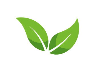 Two green leaves isolated on transparent background