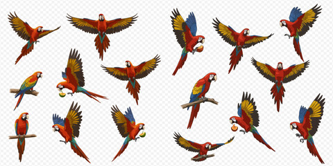 A collection of illustrated scarlet macaw parrots in various dynamic poses, flying with wings spread, perched on a branch, and holding fruit.