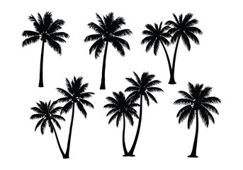 Collection of palm tree silhouettes isolated on white background