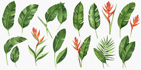A beautiful collection of hand-painted watercolor tropical plants, including lush green leaves and vibrant orange Heliconia flowers, isolated on a transparent background.