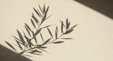 Shadow of a plant branch with leaves on a beige wall in soft sunlight.