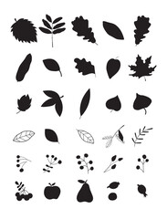Autumn set of natural elements. Set of autumn branches with leaves, berries, mushrooms, nuts. Colored flat vector illustration on white background