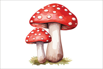 Watercolor Mushroom Clipart Bundle | Woodland Forest Fungi Vector Set