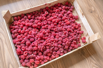 Raspberries in a small box. Berries contain vitamins and useful substances. Sweet edible raspberries in a tray. Ripe berries, picked in summer. Berry background.
