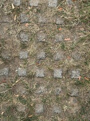 Close-up of a weathered grass paver surface with dry grass and interlocking concrete blocks, showing a mix of natural and manmade textures.