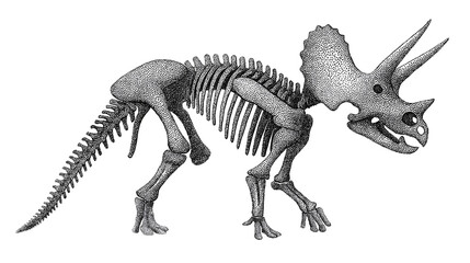 Dinosaur Skeleton Fossil Illustration on White Background