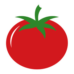 vector illustration of tomato